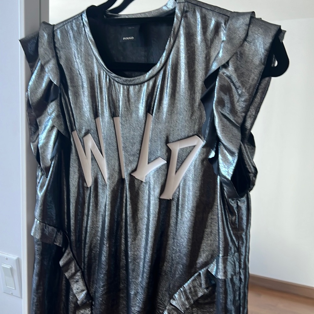 Pinko Silver top